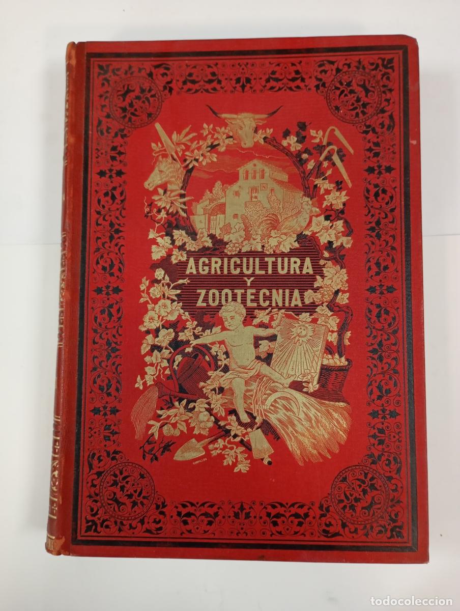 Livres: NOV&Iacute;SIMO TRATADO TE&Oacute;RICO PR&Aacute;CTICO DE AGRICULTURA Y ZOOTECNIA. TOMO SEGUNDO. - D. JOAQU&Iacute;N RIBERA. TD
