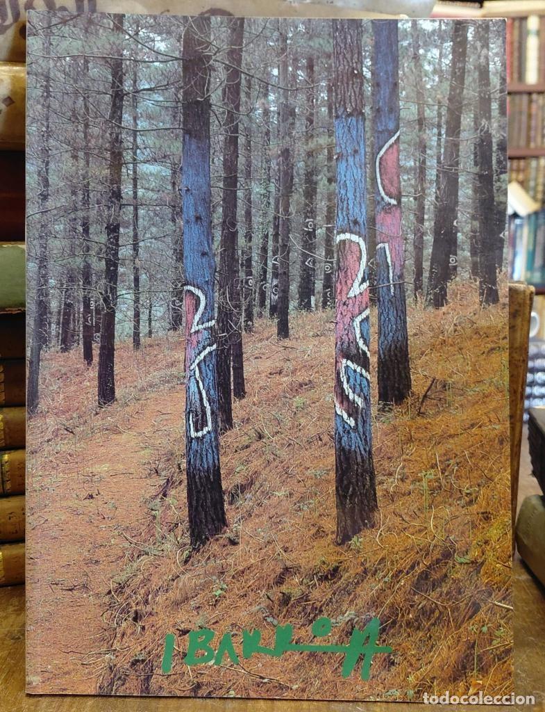 Libros: EL BOSQUE DE AGUSTIN IBARROLA. Fotografias heinz Hebeisen. - MUSEO DE BELLAS aRTES bILBAO