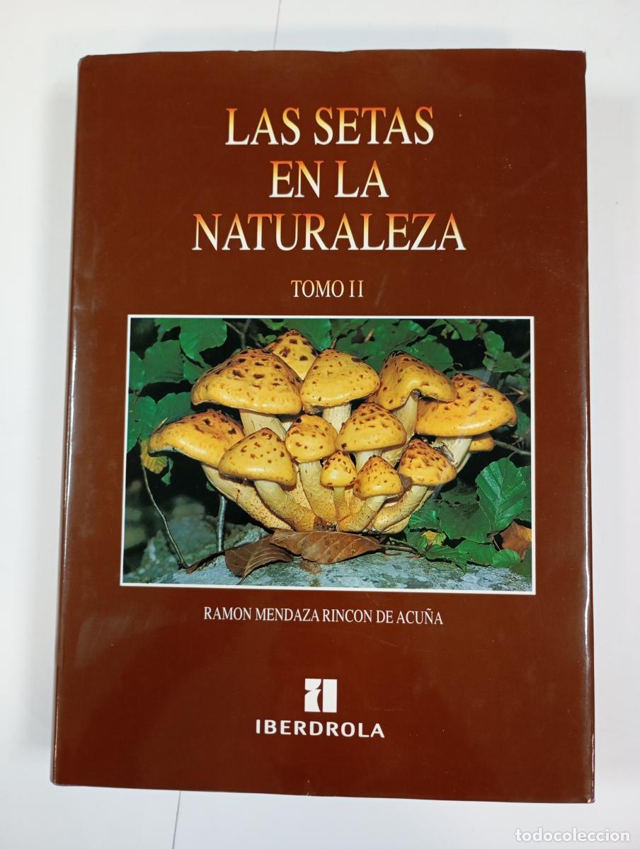 Libros: Las setas en la naturaleza. Tomo II. Iberdrola. - Ram&oacute;n Mendaza Rinc&oacute;n de Acu&ntilde;a. TDK925B