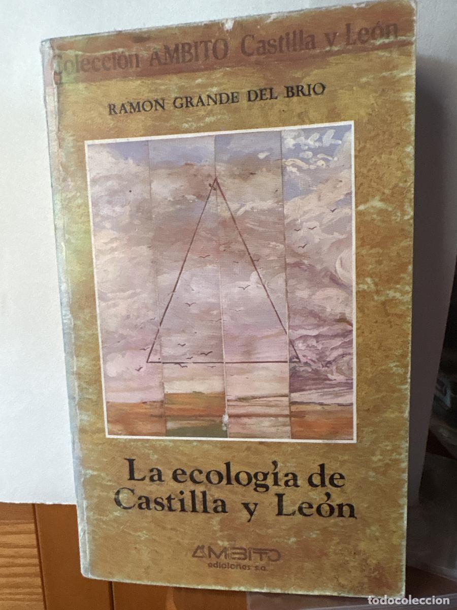 Libri di seconda mano: LA ECOLOGIA DE CASTILLA Y LEON. COLECCION AMBITO CASTILLA Y LEON - RAMON GRANDE DEL BRIO TDK269
