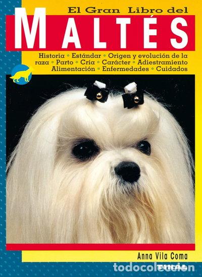 Libros: El gran libro del malt&eacute;s- 9788430536863