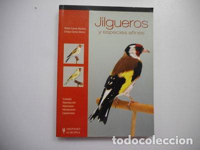 Livros em segunda m&atilde;o: Jilgueros y especies afines- 9788425517273