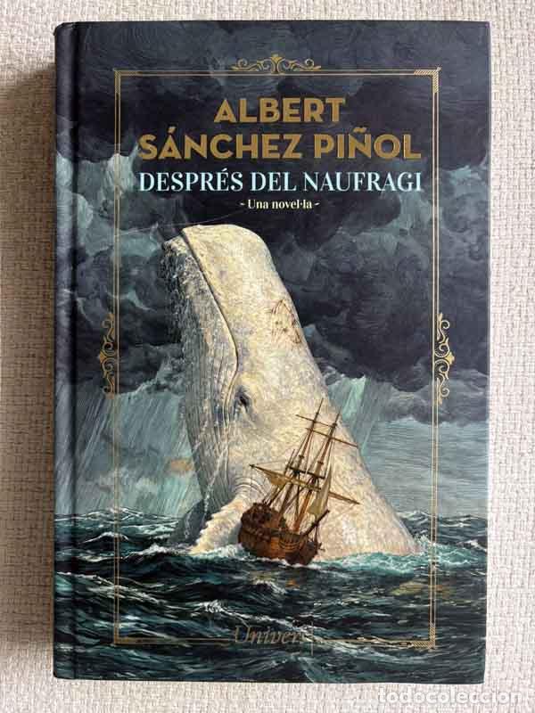 B&uuml;cher: Despr&eacute;s del naufragi - Albert S&aacute;nchez Pi&ntilde;ol