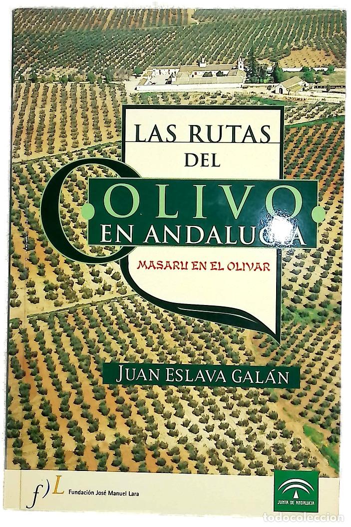 Libros: Las rutas del olivo Masaru en el olivar