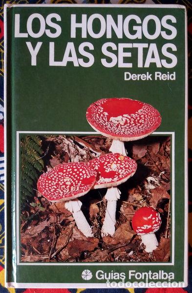 Livros em segunda m&atilde;o: Los hongos y las setas- 9788485530328
