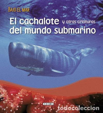 books: El cachalote y otras criaturas del mundo submarino- 9788499132662