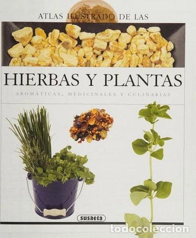 Libros: Atlas ilustrado de las hierbas y plantas arom&aacute;ticas medicinales y culinarias- 9788430559718