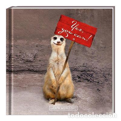 Livres: Yes, you can!- 9783862290222