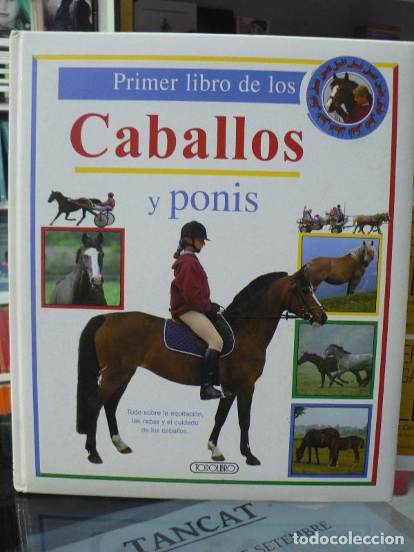 Libros: Mi Primer Libro de Caballos y Ponis: Todo Sobre la Equitaci&oacute;n, las Razas y el Cuidado - Karel Bouman