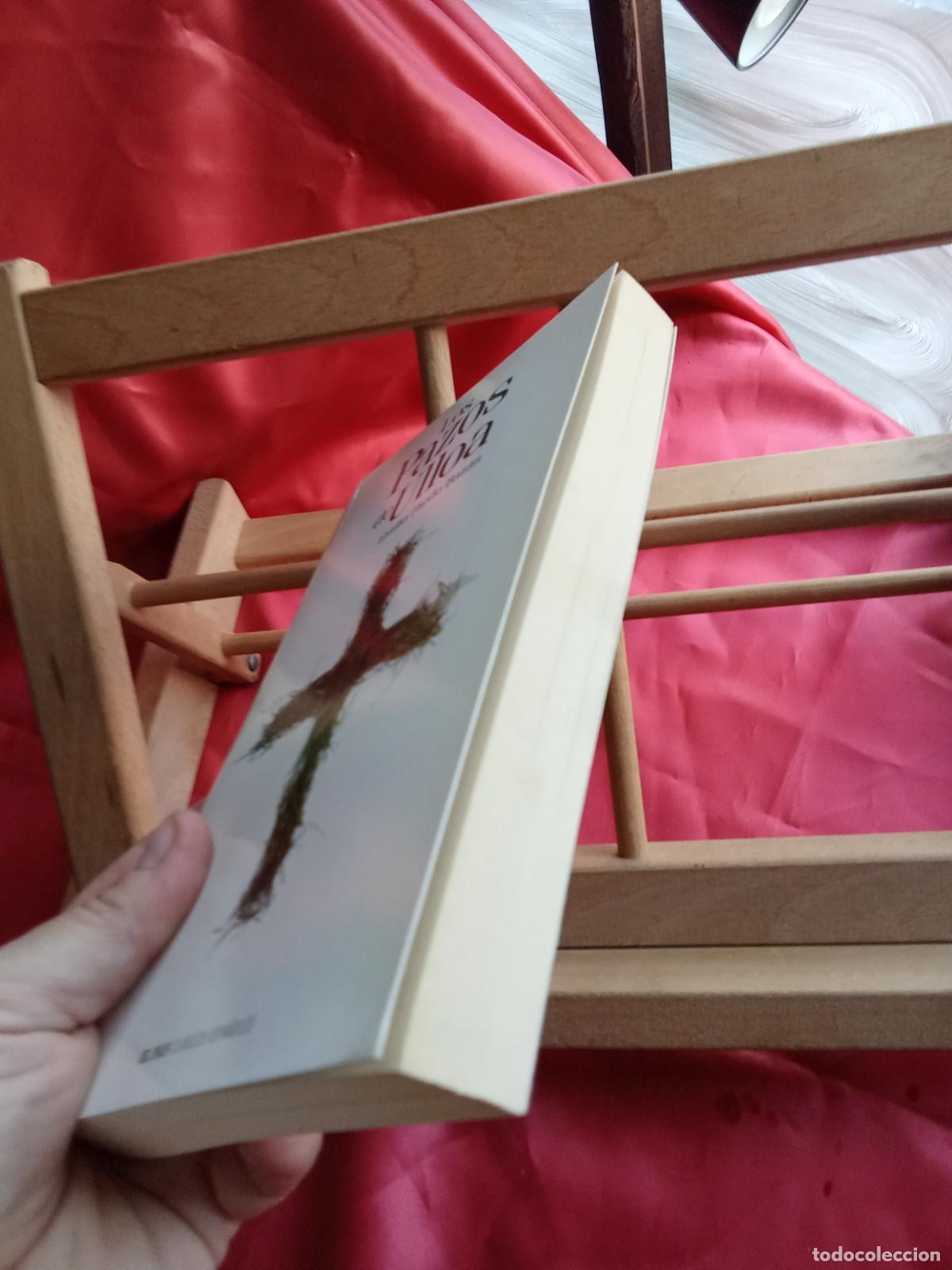 Libros: Los Plazos de Ulloa. Emilia Pardo Baz&aacute;n L.7539-2035