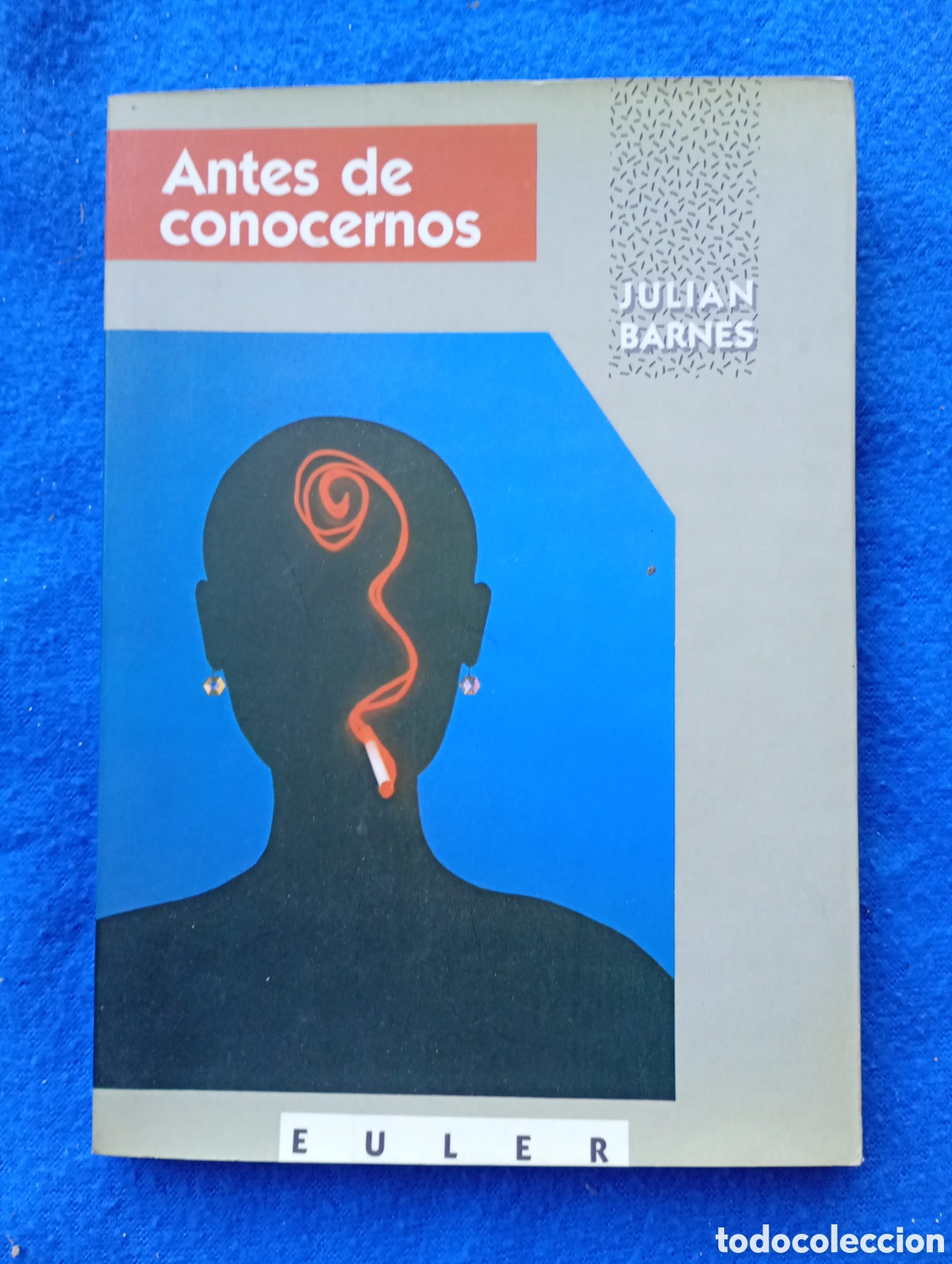 Libros: Antes de conocernos Juli&aacute;n barnes euler
