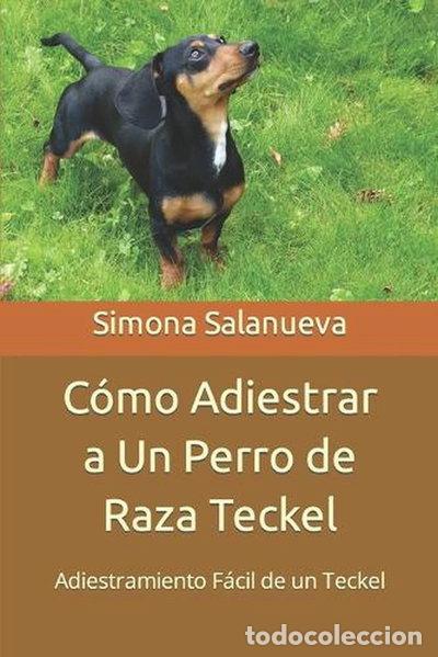 Libros: C&oacute;mo adiestrar a un perro de raza Teckel- 9781074918002