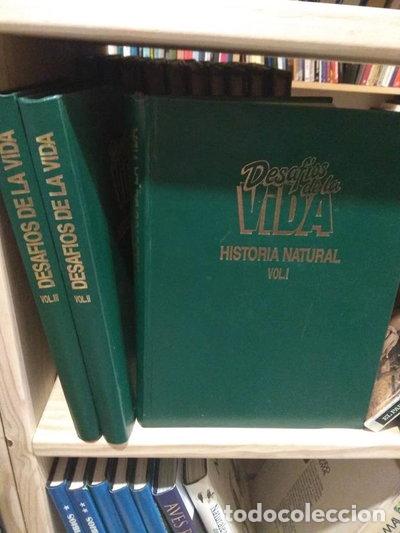 Livros em segunda m&atilde;o: Desaf&iacute;os de la vida: Historia natural- 9788477585336