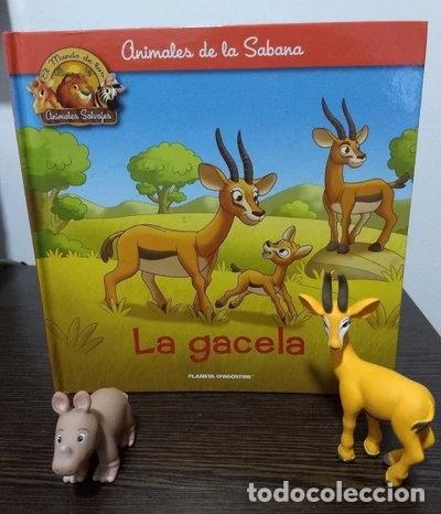 Libros: La Gacela Coleccion Animales de la Sabana- 9788468430041