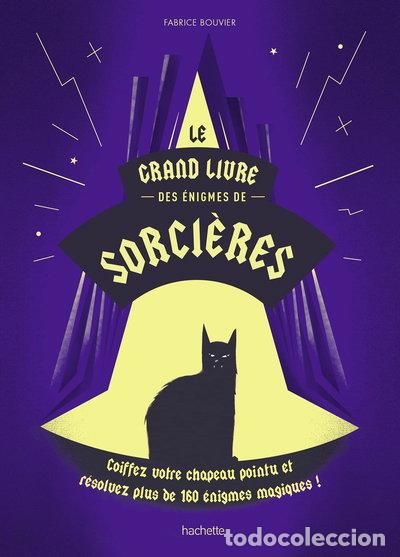 Livros em segunda m&atilde;o: Le grand livre des &eacute;nigmes de sorci&egrave;res- 9782019462444