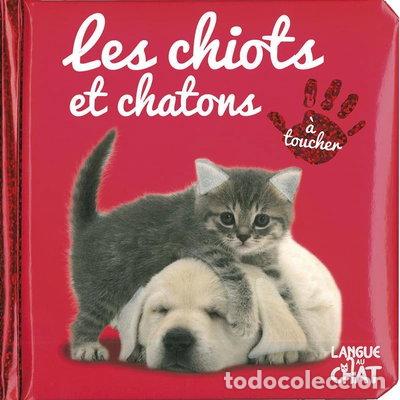 books: Les chiots et chatons- 9782806308917