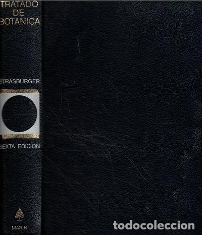 Libros: Tratado de Bot&aacute;nica- 9788471029904
