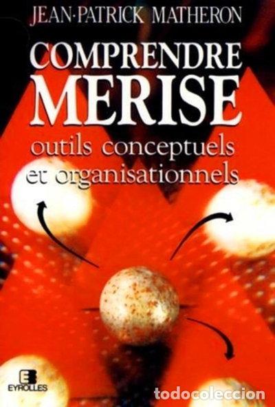 Libros: Comprendre Merise: Outils conceptuels et organisationnels- 9782212075021
