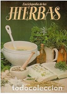 Libros: Enciclopedia de las hierbas: El mundo de las hierbas - Marshall Cavendish Ltd. - C&iacute;rculo de Lectores