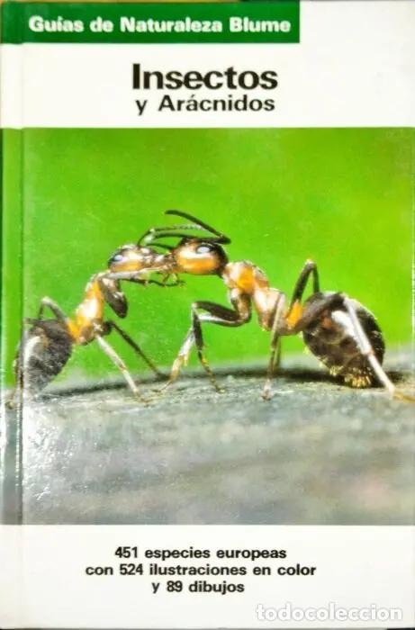 books: Insectos y aracnidos - REICHHOLF-RIEHM, HELGARD