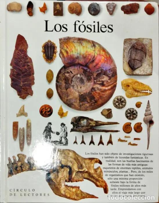 Libri di seconda mano: Los f&oacute;siles - VVAA