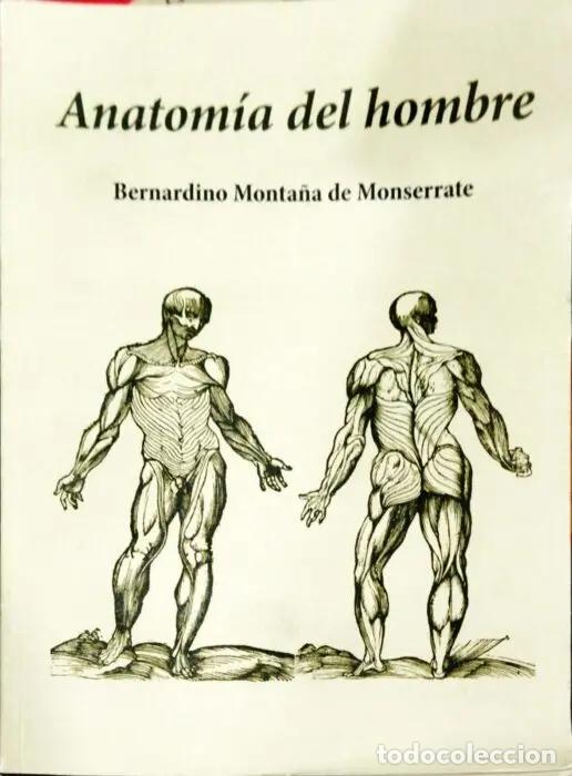 Libri di seconda mano: Anatom&iacute;a del hombre Edici&oacute;n Facsimil - MONTA&Ntilde;A DE MONSERRATE, BERNARDINO