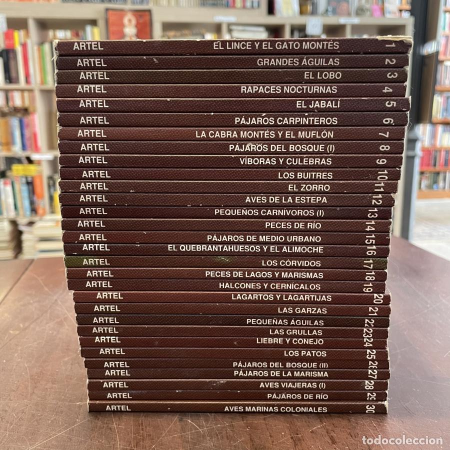 B&uuml;cher: Cuadernos de campo. 30 vols - F&eacute;lix Rodr&iacute;guez de la Fuente