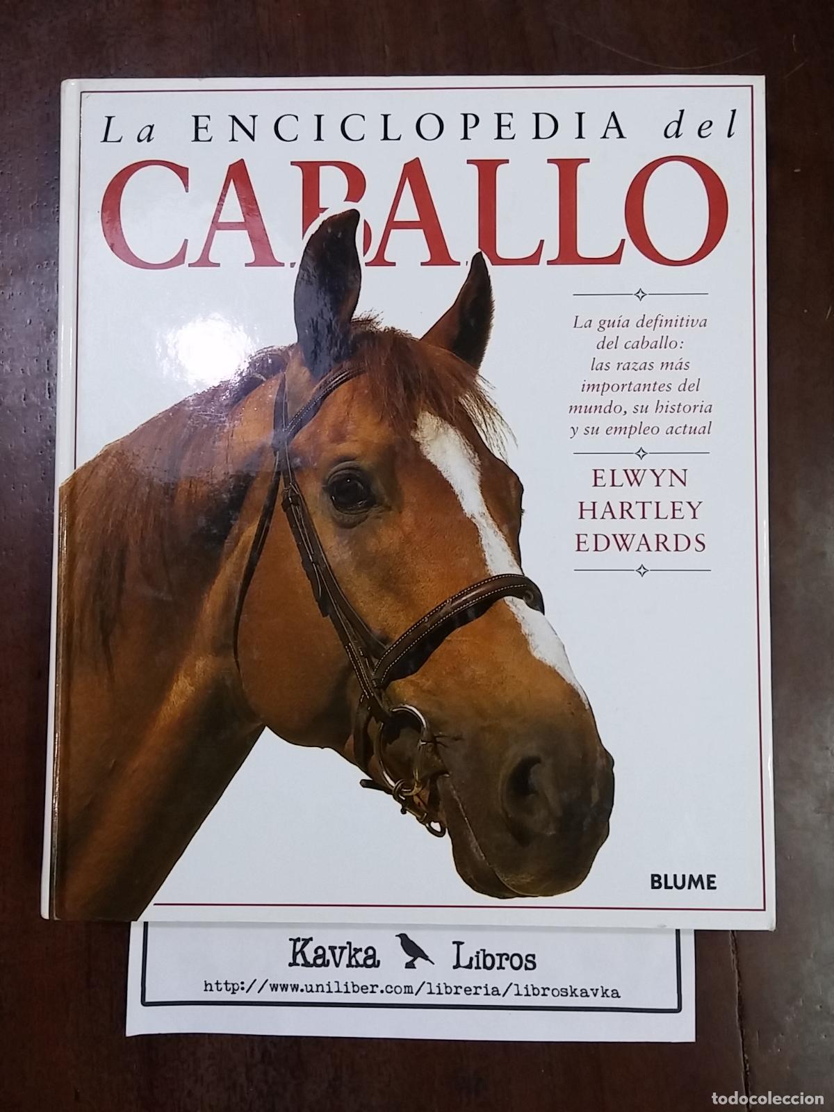 Libros: La enciclopedia del caballo - Elwyn Hartley Edwards - Foto 1