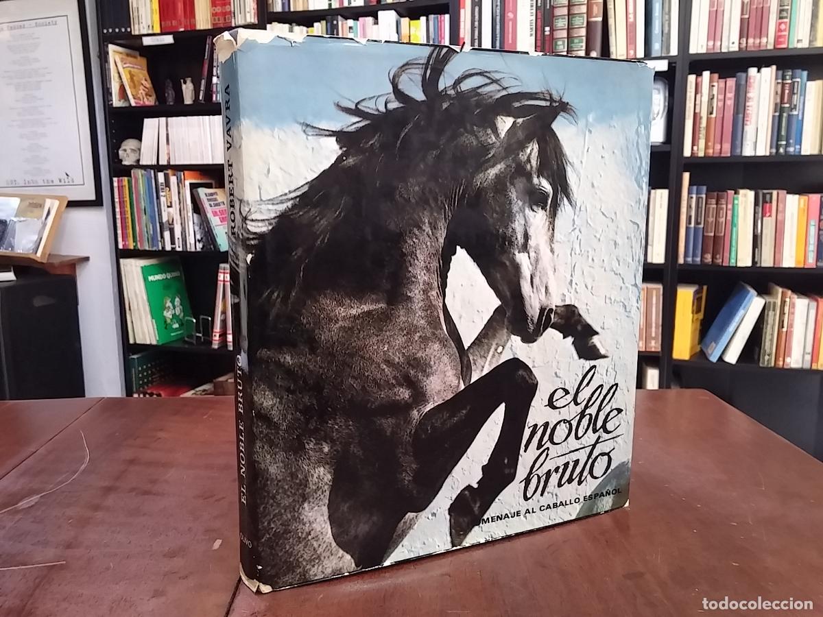 B&uuml;cher: El noble bruto. Homenaje al caballo espa&ntilde;ol - Robert Vavra