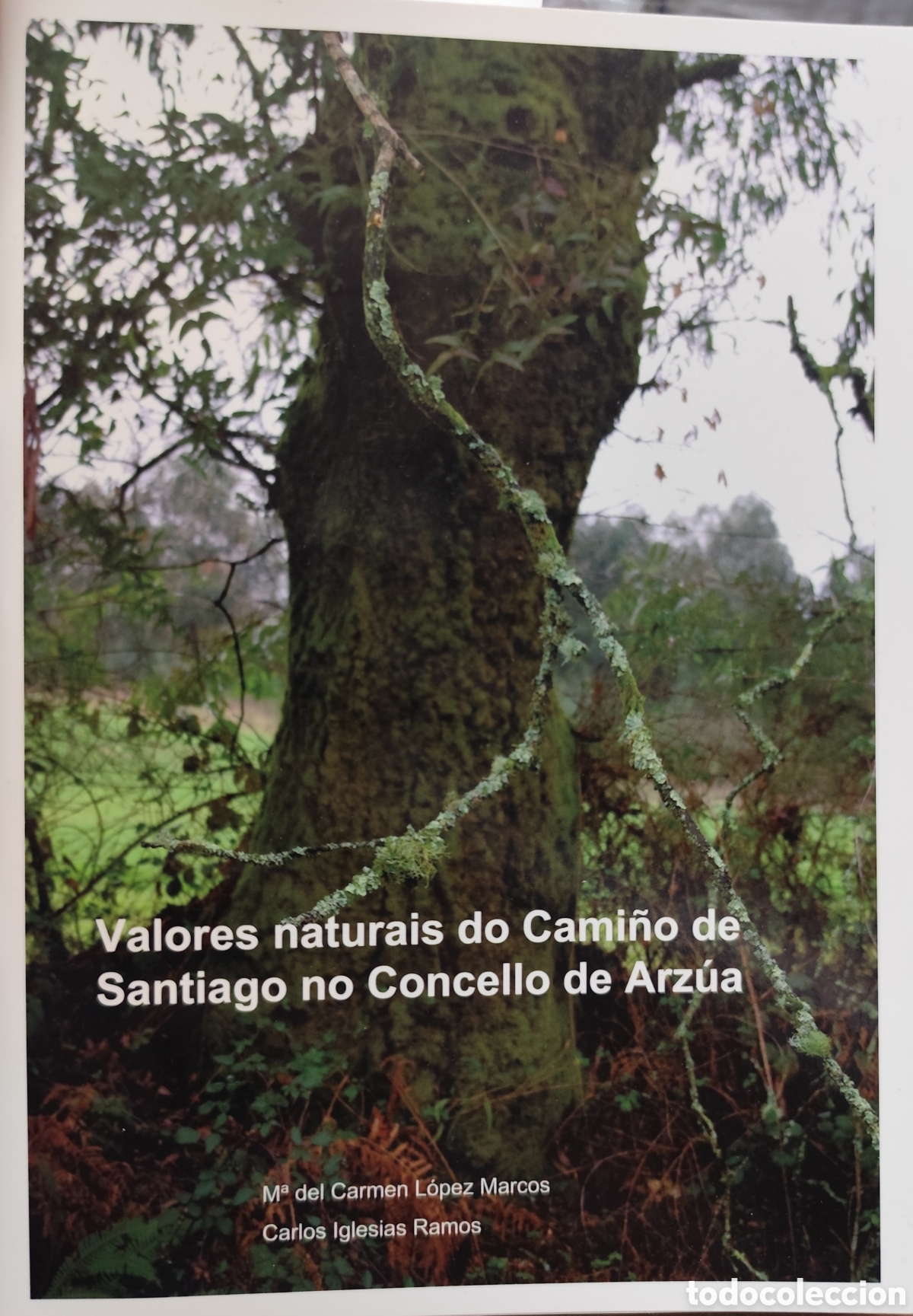 Libri di seconda mano: VALORES NATURAIS DO CAMI&Ntilde;O DE SANTIAGO NO CONCELLO DE ARZUA. Galicia - LOPEZ MARCOS,M&ordf; del Carmen y