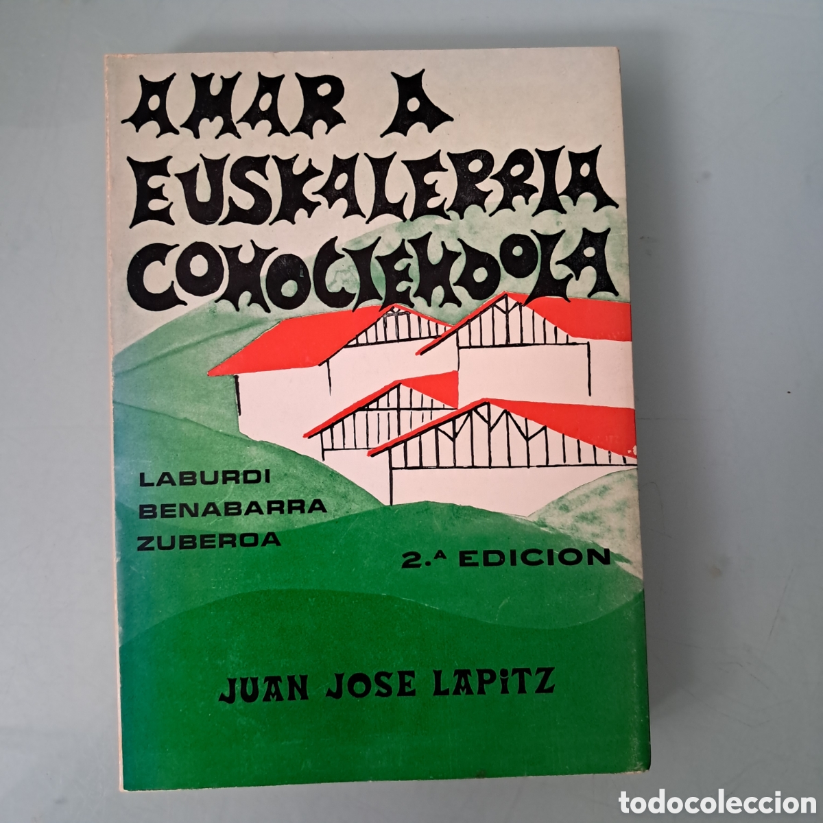 Libros: Amar a Euskal Herria Conociendola. Juan Jos&eacute; Lapitz. A&ntilde;o 1978. Ilustrado. 230 pags.
