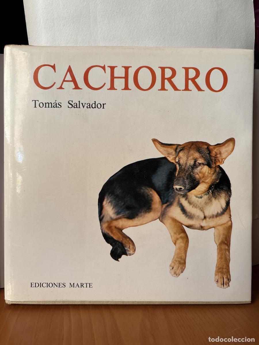Cachorro - Tom&aacute;s Salvador Espeso tdk31