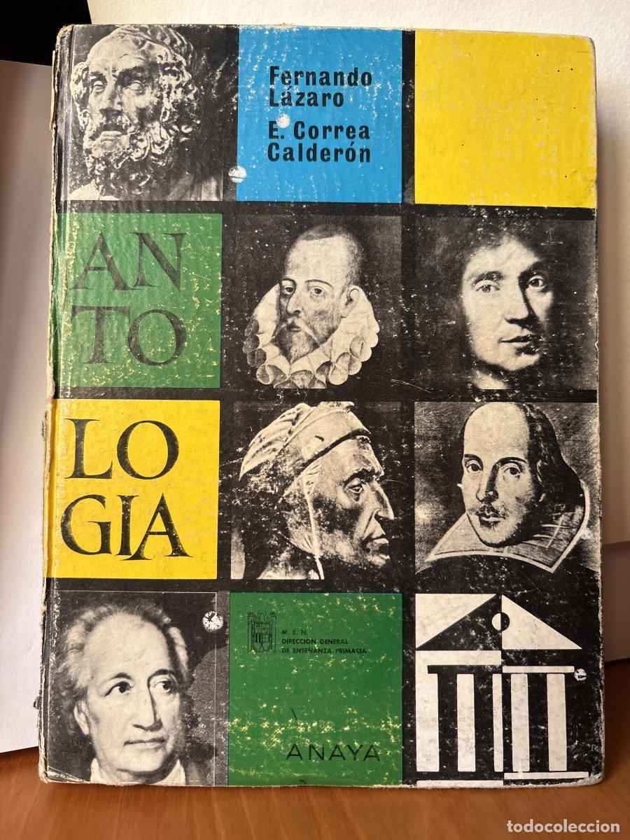 Libros: ANTOLOGIA LITERARIA - TDK31 - Foto 1