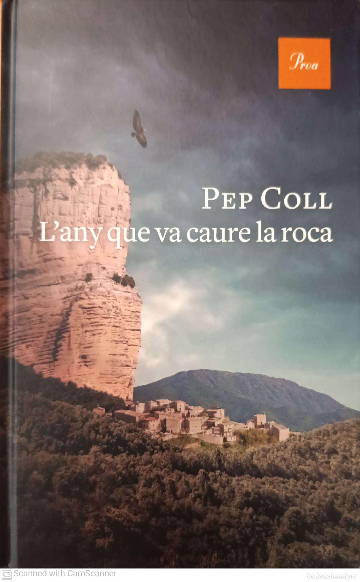 Libros: L'any que va caure la roca - Pep Coll