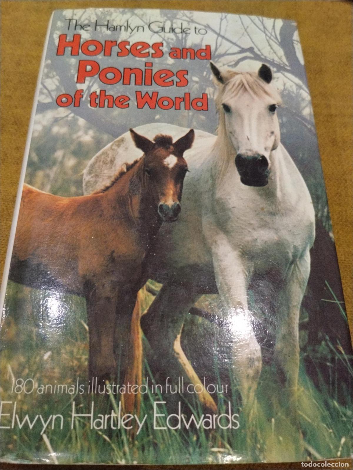 Libros: HORSES AND PONIES - Elwyn Hartley Edwards