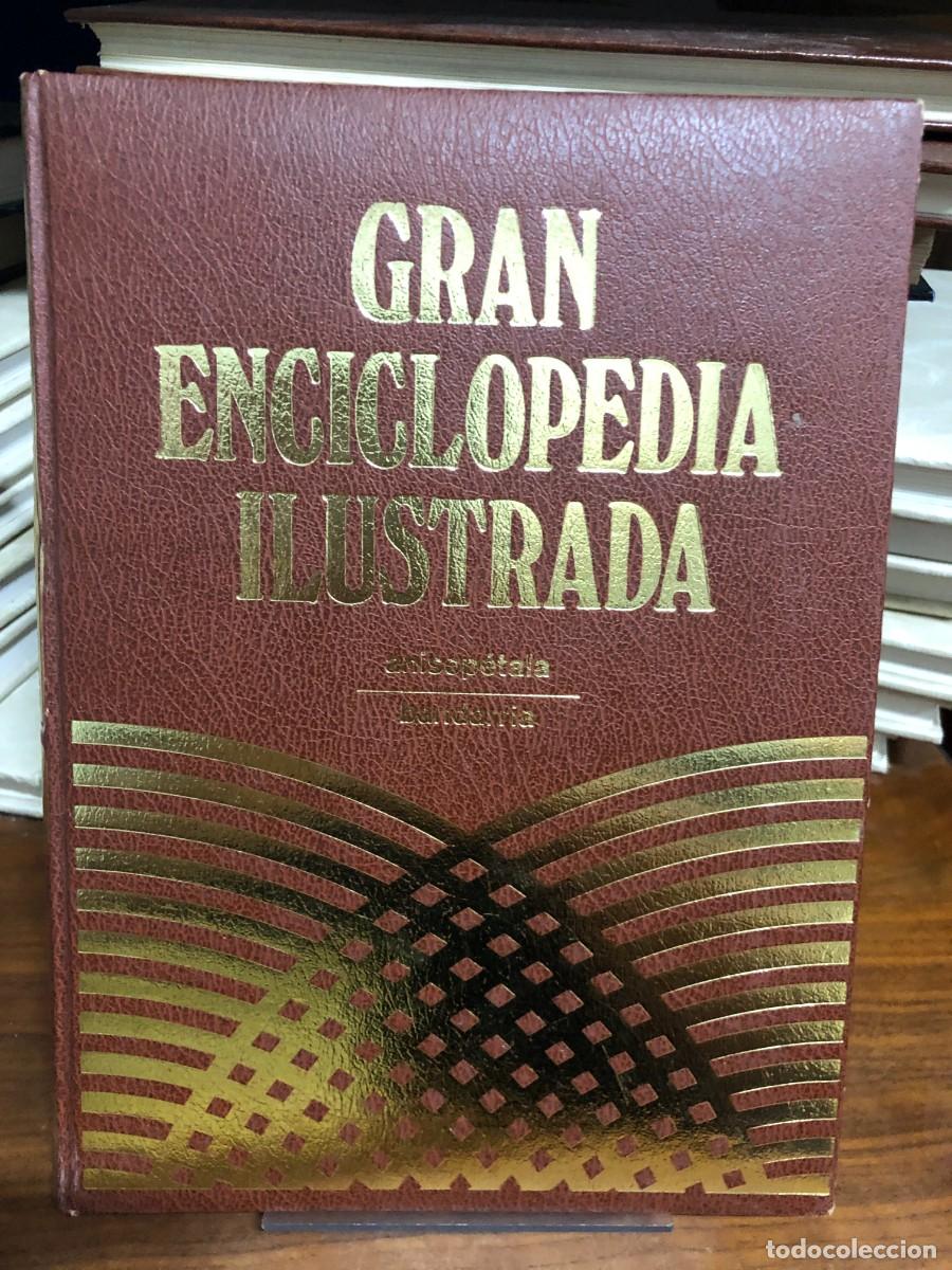 Libros: Gran Enciclopedia Ilustrada: Anisop&eacute;tala - Bucalv&iacute;a