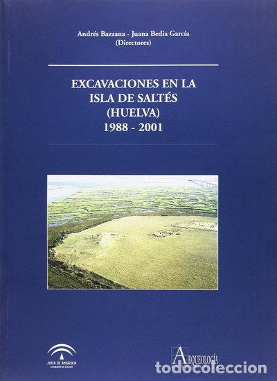 books: Excavaciones en la isla de Salt&eacute;s (Huelva), 1988-2001- 9788482665610