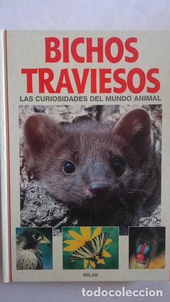 Libros: Bichos traviesos- 9788478181070