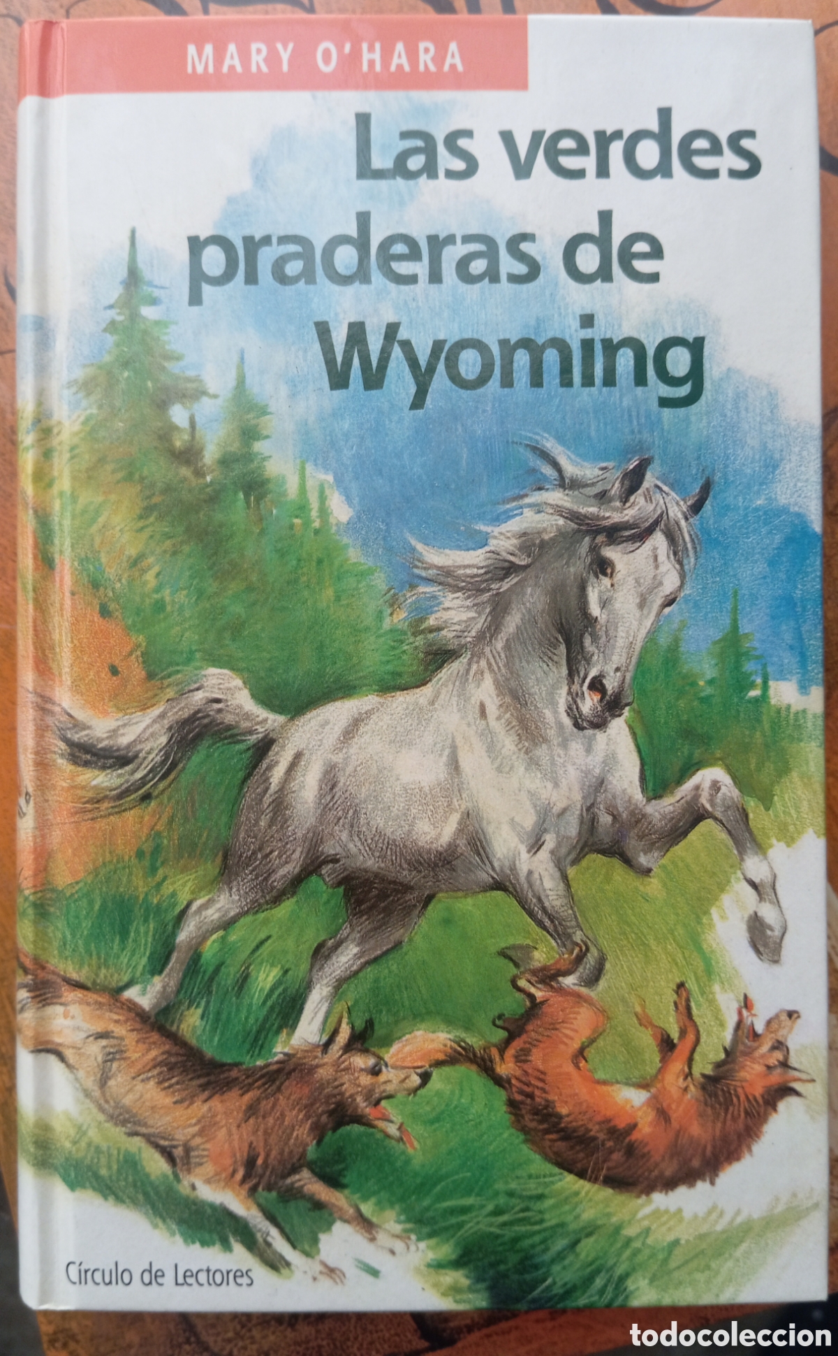 Livres: LAS VERDES PRADERAS DE WYOMING - MARY O'HARA