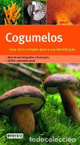 books: Cogumelos- 9789895003457