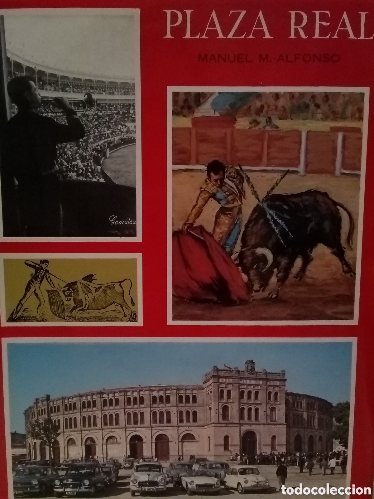 Libros: Manuel M. Alfonso. Plaza Real