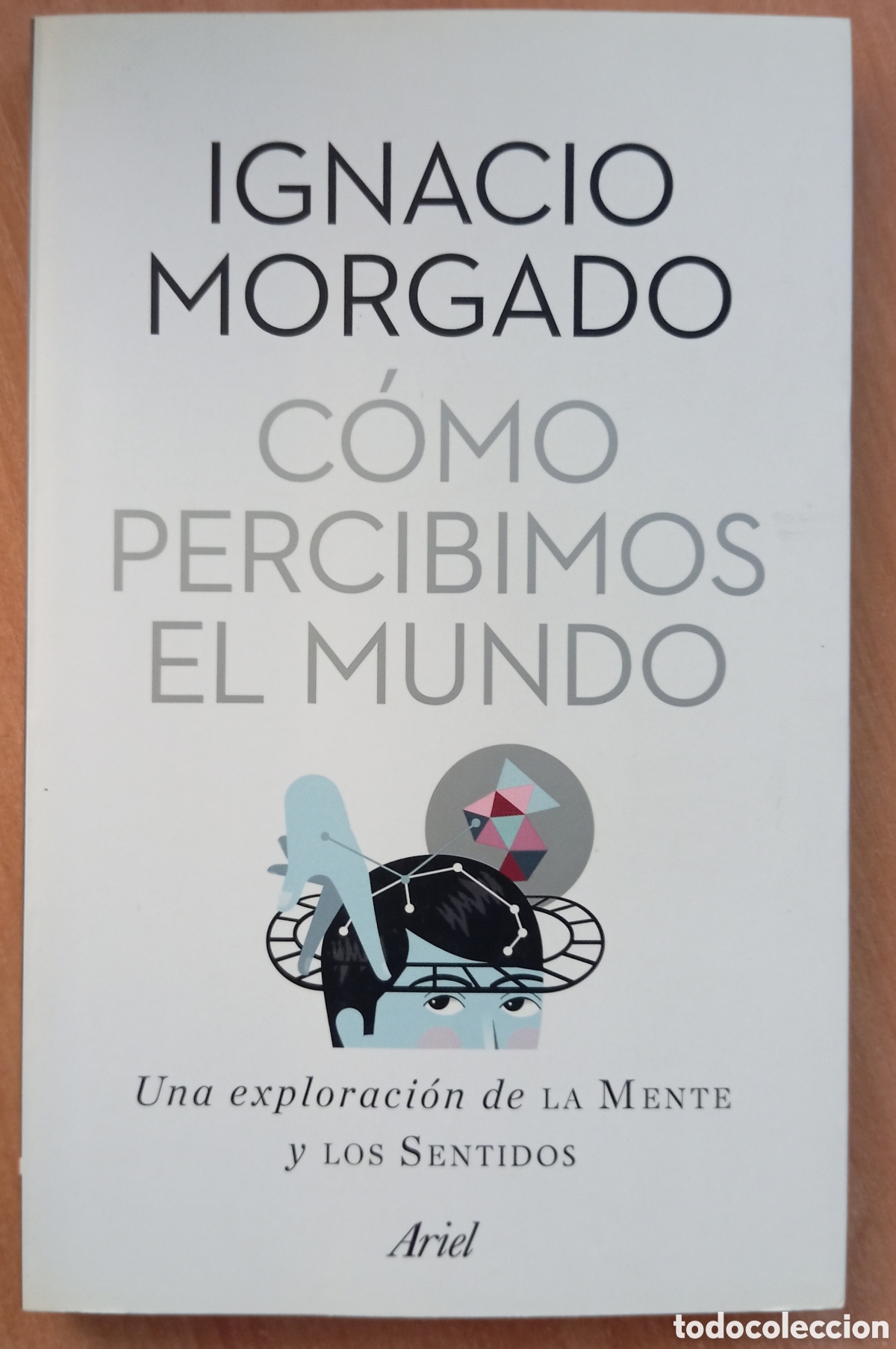 Libros: COMO PERCIBIMOS EL MUNDO - IGNACIO MORGADO
