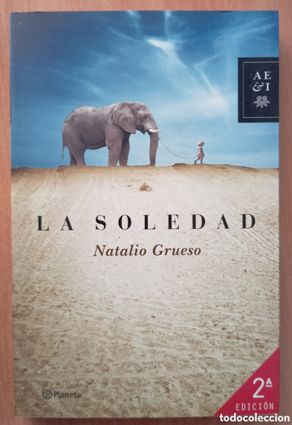 Libros: LA SOLEDAD - NATALIO GRUESO