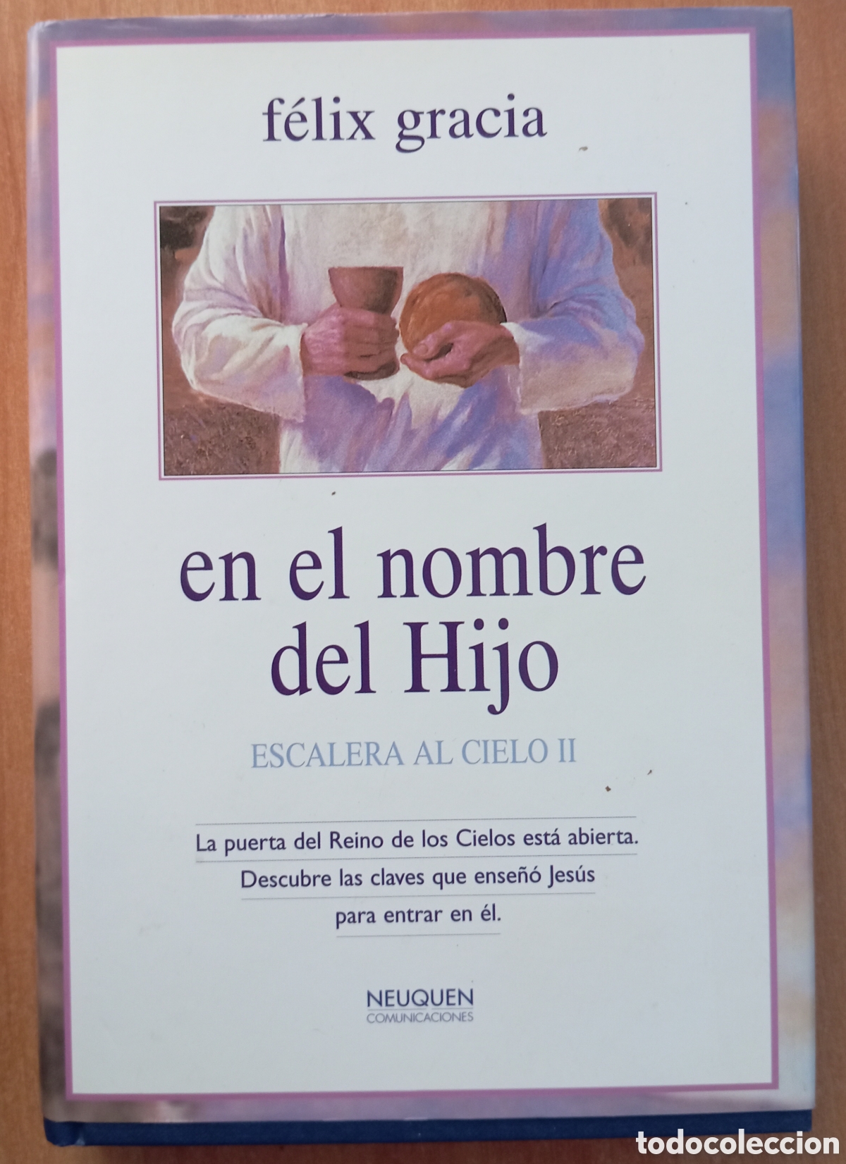 B&uuml;cher: EN EL NOMBRE DEL HIJO - FELIX GRACIA