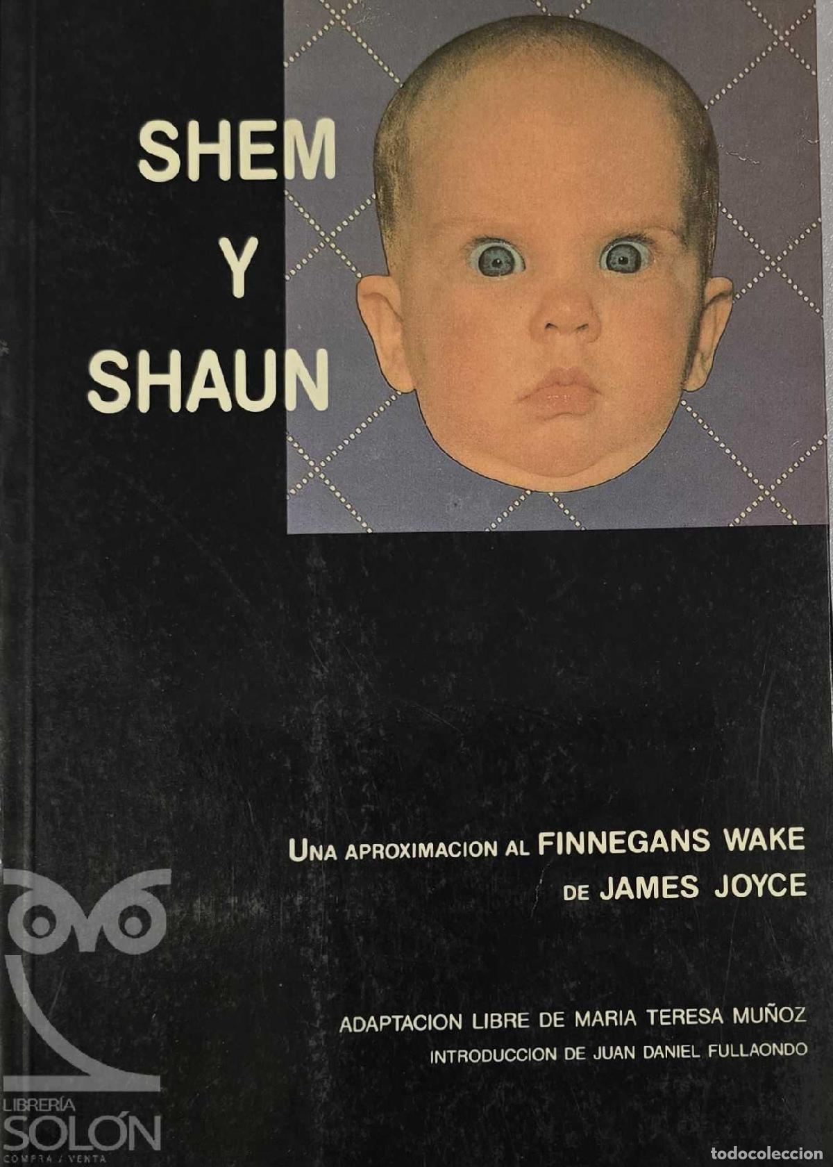Libros: Shem y Shaun. Una aproximaci&oacute;n al &laquo;Finnegans Wake&raquo; de James Joyce - Mar&iacute;a Teresa Mu&ntilde;oz (Adaptaci&oacute;n L