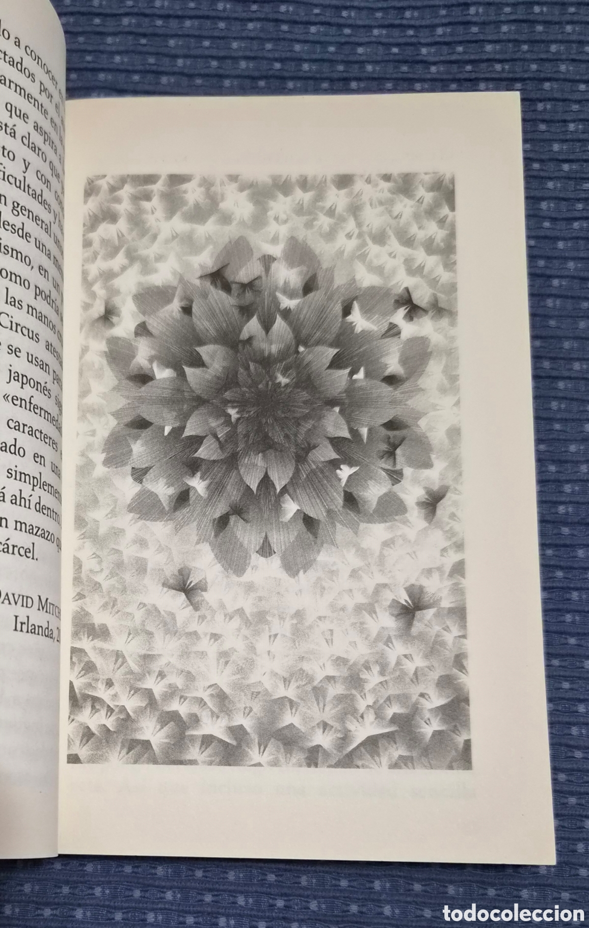 Libros: La raz&oacute;n por la que salto. - Foto 3