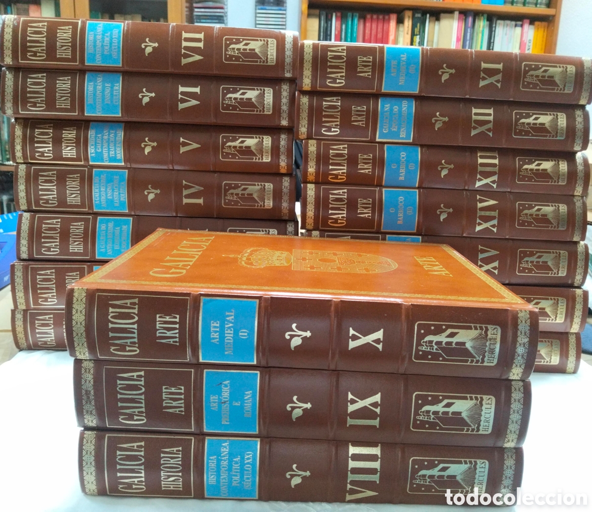 Libros: 17 Tomo ciclop&eacute;dica Proyecto Galicia (series de Historia y Arte), editada por H&eacute;rcules de Ediciones