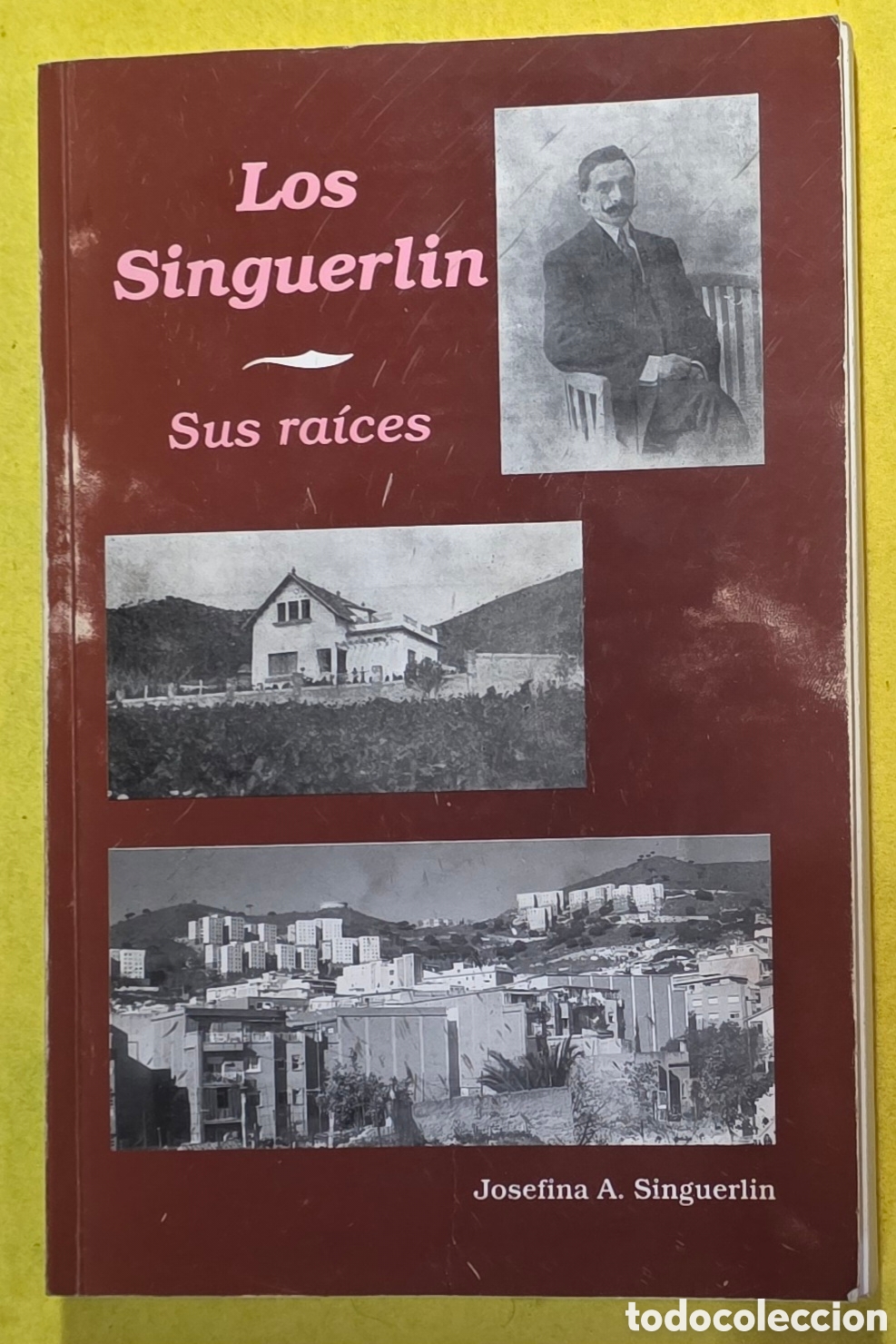 Libros: Los Singuerlin. Sus ra&iacute;ces