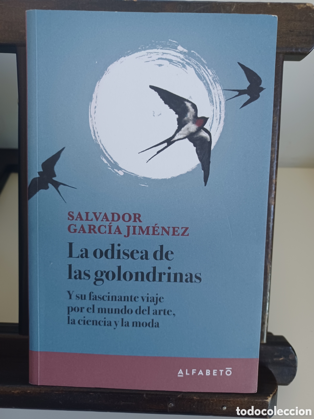 Libros: La odisea de las golondrinas/ Salvador Garc&iacute;a Jim&eacute;nez/ Alfabeto, 2023