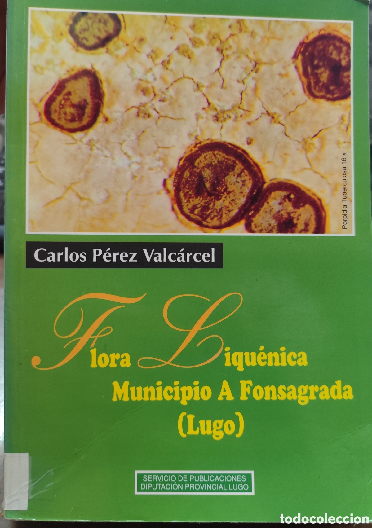 Libri di seconda mano: FLORA LIQUENICA DEL MUNICIPIO DE A FONSAGRADA ( LUGO ). Galicia - PEREZ VALCARCEL,Carlos